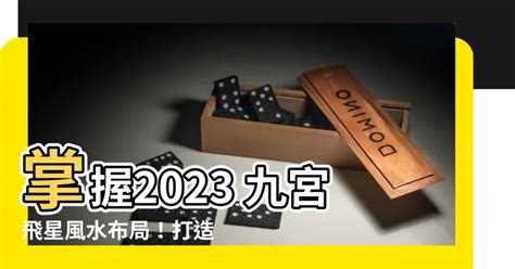 2023飛星佈局